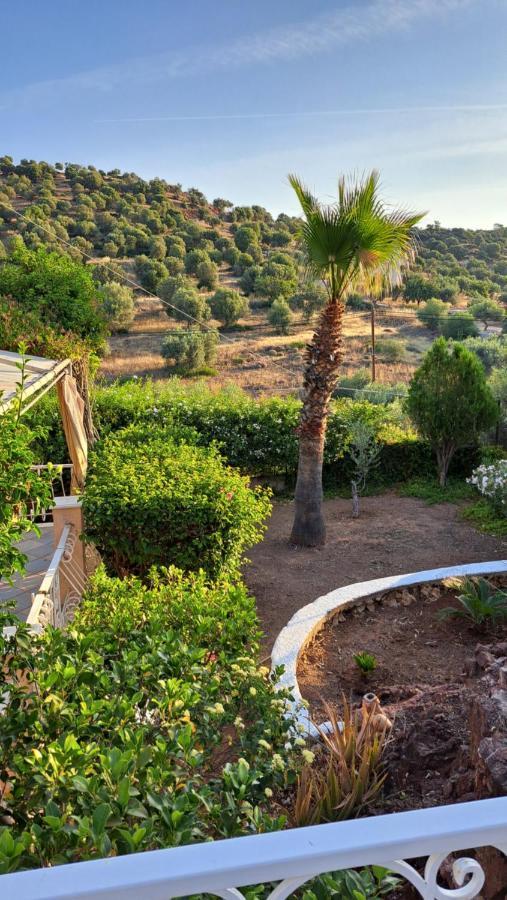 Βlueview Villa Ermioni Luaran gambar