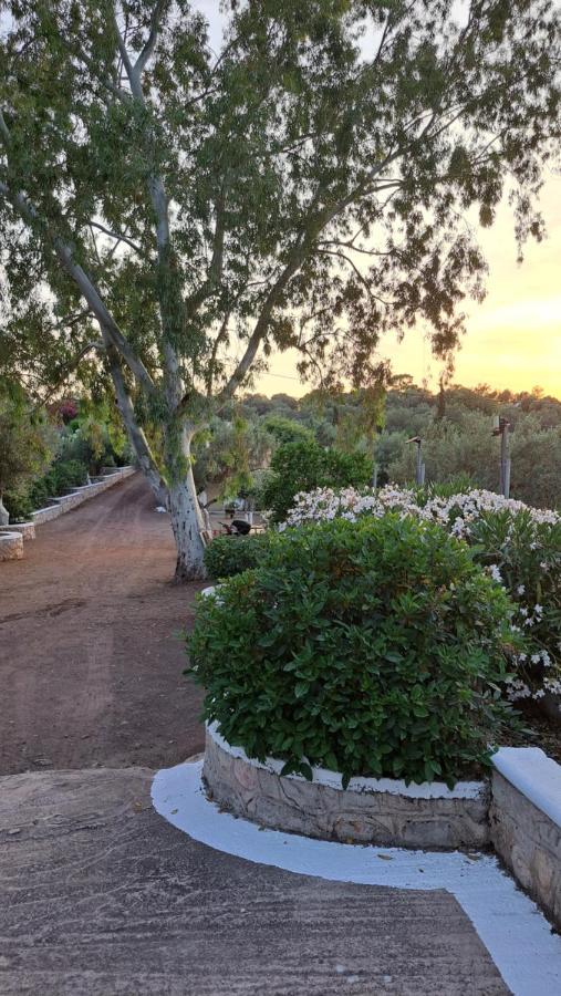 Βlueview Villa Ermioni Luaran gambar