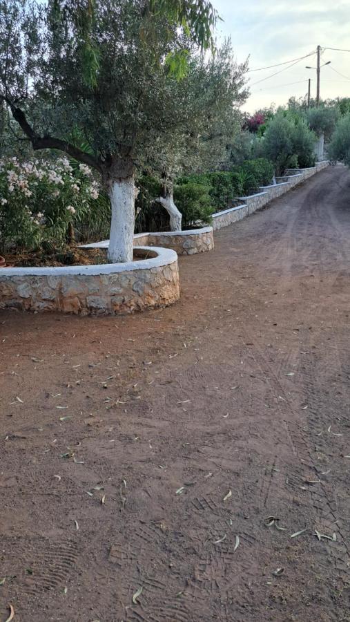 Βlueview Villa Ermioni Luaran gambar
