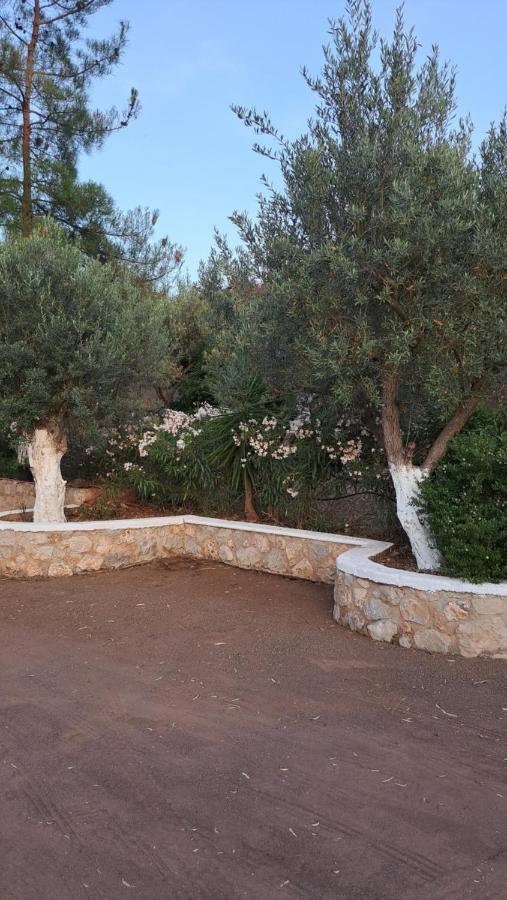 Βlueview Villa Ermioni Luaran gambar