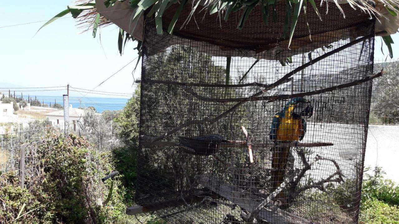 Βlueview Villa Ermioni Luaran gambar